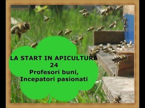 LA START IN APICULTURA - 24 - Profesori buni, incepatori pasionati