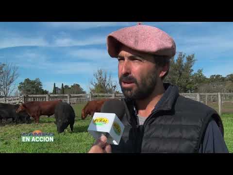 DIEGO BARCIA- Remate 2022