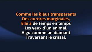 Michel Sardou   Les yeux d un animal karaoke