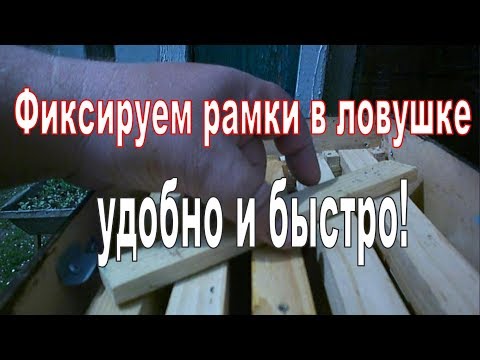 Ловим рои - Быстрая и надежная фиксация рамок в ловушке!