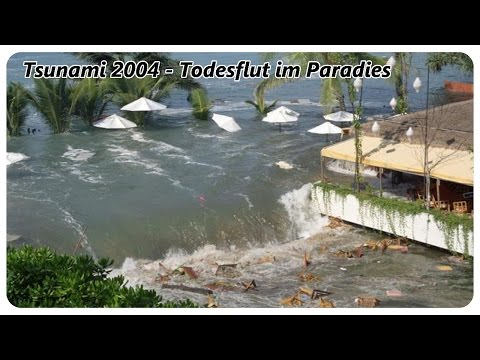Tsunami 2004 - Todesflut im Paradies [2/2] [DOKU][HD]