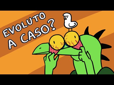 Is evolution RANDOM?