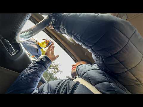 Police Stopped me AND ...