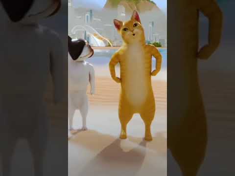 Cat ki funny video #fannyboy  funny video #tendingshorts #funny #btsvideo #fannycomedy#cartoon #cat