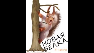 Новая белка.