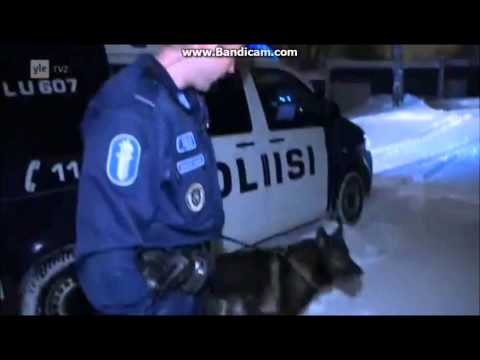 Poliisi tv: Poliisin matkassa - Espoo 28.2.2013