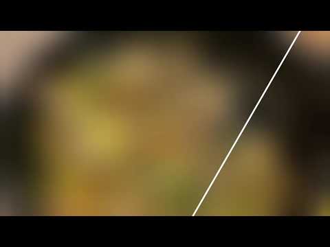 Night at Garden by the Bay 27092020