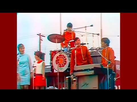 The Cowsills • “Gray Sunny Day” • LIVE 1968 [Reelin' In The Years Archive]