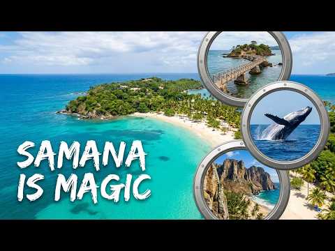 Step into Paradise: Samana's  Most Stunning Sites