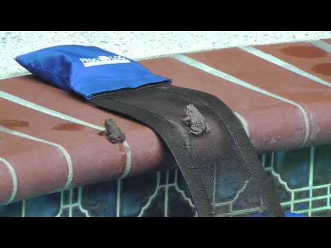 FrogLog: Animal Escape Ramp for Swimming Pools