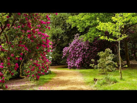 Baku Late Night Reflections - İşıq saçan Baki geceleri