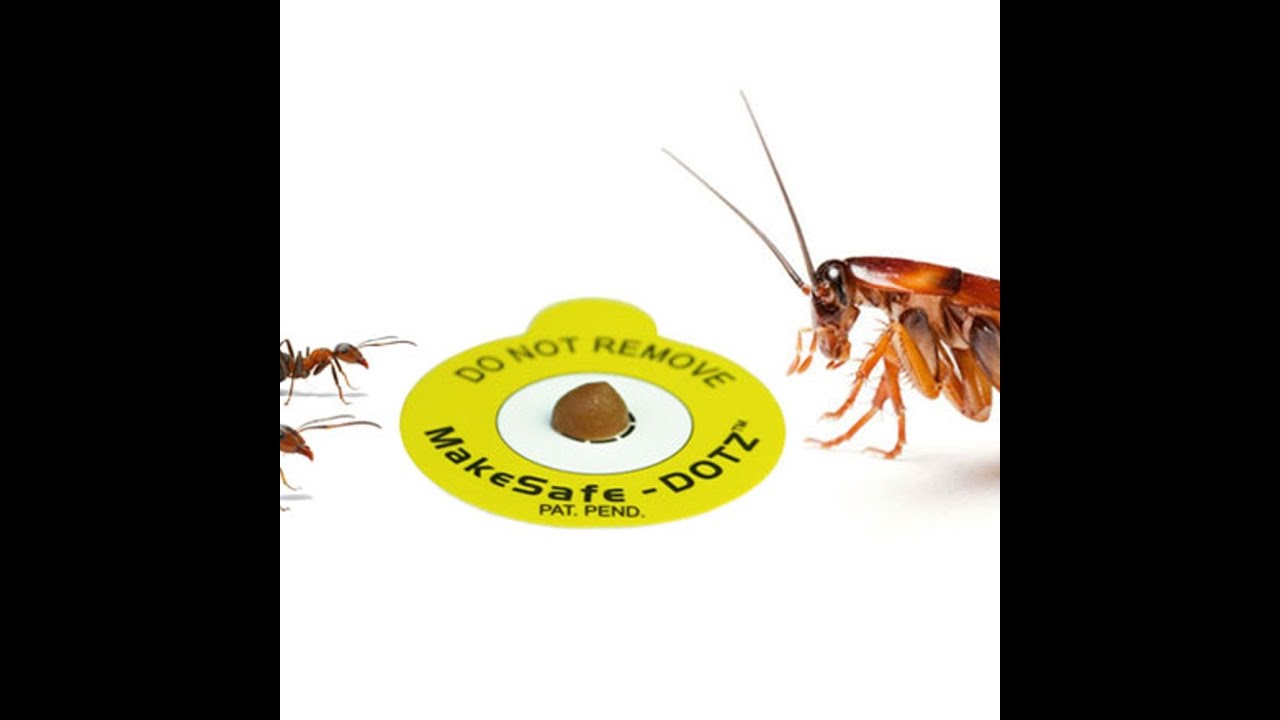 Åtemerke til forgiftet åte - Maur Mauråte