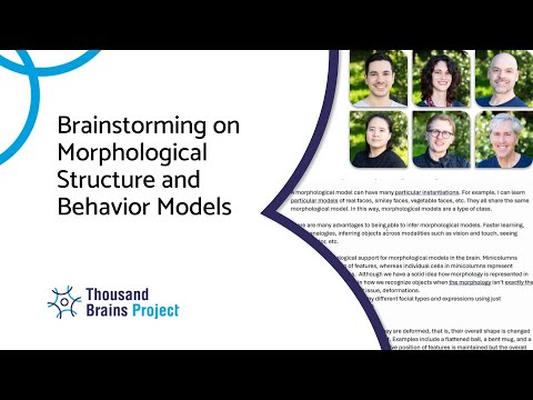 2025/06 - Brainstorming on Morphological Structure and Behavior Models