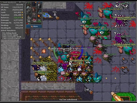 Tibia Hunt Energy Library - 20kks-hr, 225%, Corrupted Team