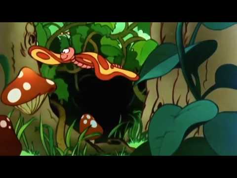 Şirin Girişimci Adayı - BÜŞRA AY  #fellow2018