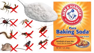 How To Use BAKING SODA To Kill Roaches, Spiders, Ants, Rats (50 SAFE Recipes For Pest)