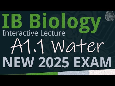 IB Biology A1.1 - Water [SL/HL] - Interactive Lecture 2025-2033