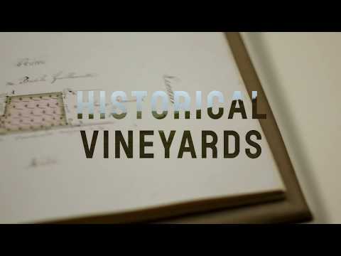 VEUVE CLICQUOT Grande Dame 2004 in Cutie Cadou video