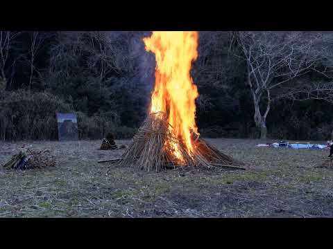 Play Video Youtube Video