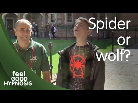 Who is in control of how hypnotic suggestions are accepted? Discussion using a live street hypnosis