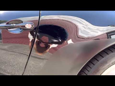 1995 Porsche 911 (CC-1621879) for sale in New Hyde Park, New York