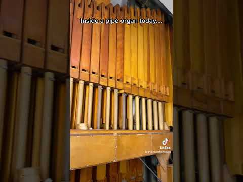 Inside a pipe organ!