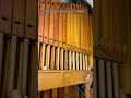 Inside a pipe organ!