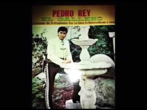 Mariachi los Galleros de Pedro Rey - Adiós a la Vida
