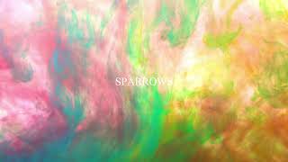 Lion Cayden - Sparrows