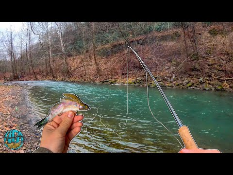 This River Held a Monster Brown Trout Surprise... My LAST Trout of the Year!