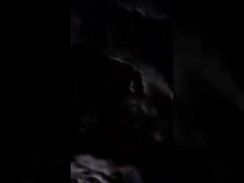 Beautiful night beach ⛱️ view 😍