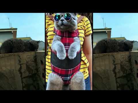 Osvaldorio - 3.00 (ft. Antonius Aditya) [Official Music Video]