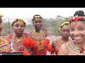 Inside Umkhosi Womhlanga Zulu Reed Dance Festival Interviews