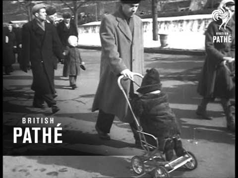 Elections In The Ussr   (1958)