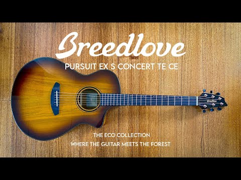 Breedlove Pursuit EX S Concert TE CE 2023 - Tigers Eye image 11