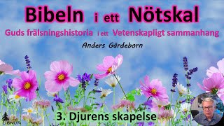 Thumbnail for video: Bibeln i ett Nötskal Del 3: Djurens skapelse - Anders Gärdeborn