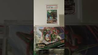 can you guess how much is collection is worth #collection #pokemonchannel #pokemon #evolvingskies