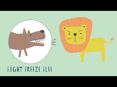 Meet the Grow Your Mind Animals