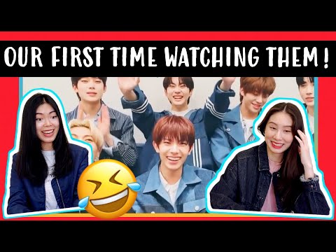 AUSTRALIANS REACT TO 'THIS IS ENHYPEN - A CRACK'!