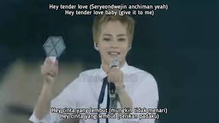 Download lagu EXO - TENDER LOVE (INDO SUB) mp3 Download lagu EXO - TENDER LOVE (INDO SUB) mp3