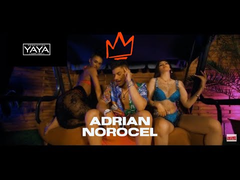ADRIAN NOROCEL - NEBUNA DIN CAMERA  2022