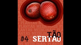 Miniatura do vídeo