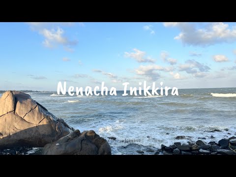 Nenacha inikkira song | August 16 1947 | Gautham Karthik,Revathy Sharma | Sean Roldan | #seenikkari