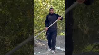 Köpek  yavru bebeğin hayatını kurt 😔 #animals #lion