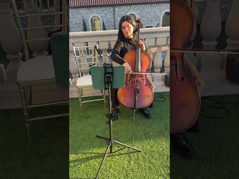 Promotional video thumbnail 5 for Strings Live Music