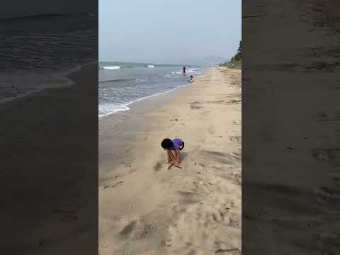 #Ojasvi playing on the #beach 🏖️