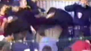 Hoffmann & Hoffmann - Love gives