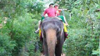 preview picture of video 'Elephant Riding at Habarana, Sri Lanka'