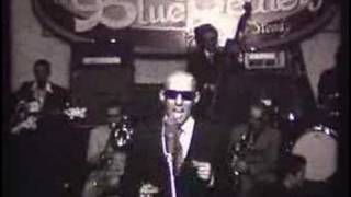 Wonderful Life - Giuliano Palma & The Bluebeaters.
