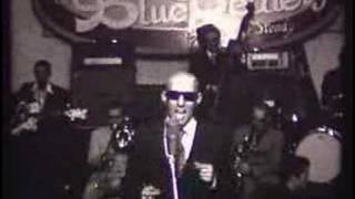 Wonderful Life - Giuliano Palma & The Bluebeaters.